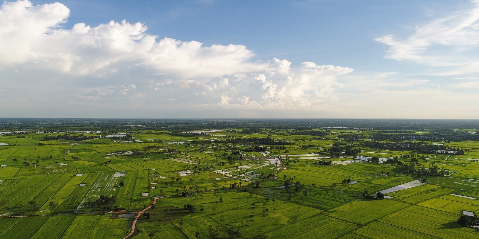 Hợp đồng chuyển nhượng quyền sử dụng đất