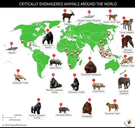 A World Of Endangered Animals 2025 𝚆𝚊𝚝𝚌𝚑 Online & Reviews
