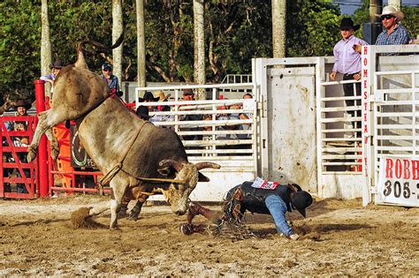 The Aracade Raid/Homestead Stampede 2025 𝚆𝚊𝚝𝚌𝚑 Free
